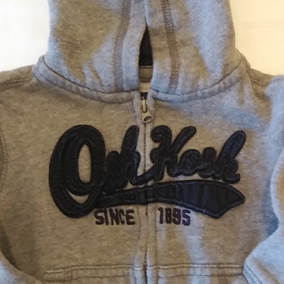 Oshkosh B'gosh Gray Long Sleeve Hoody Size 18M - Picture 4 of 7